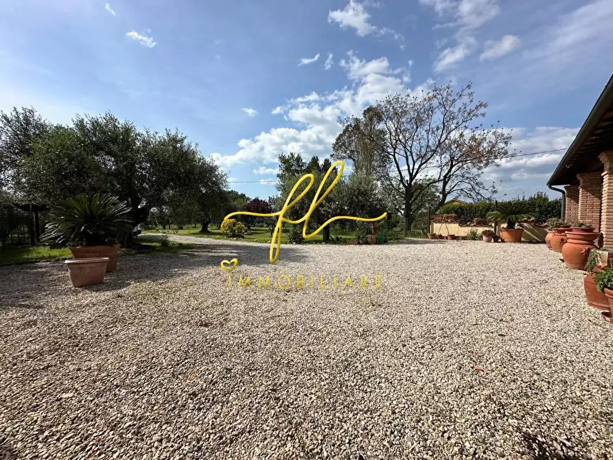 Immagine 31 di Porzione di casa in vendita  a Bibbona