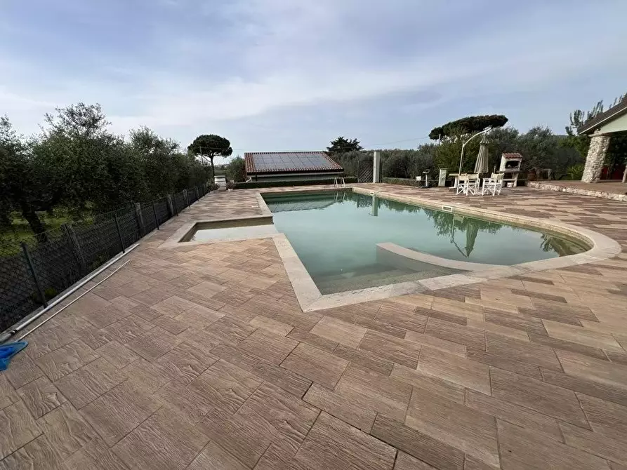 Immagine 4 di Villa in vendita  a San Vincenzo