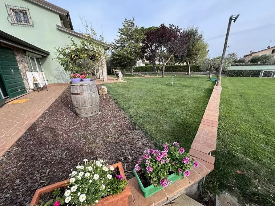 Immagine 30 di Villa in vendita  a San Vincenzo