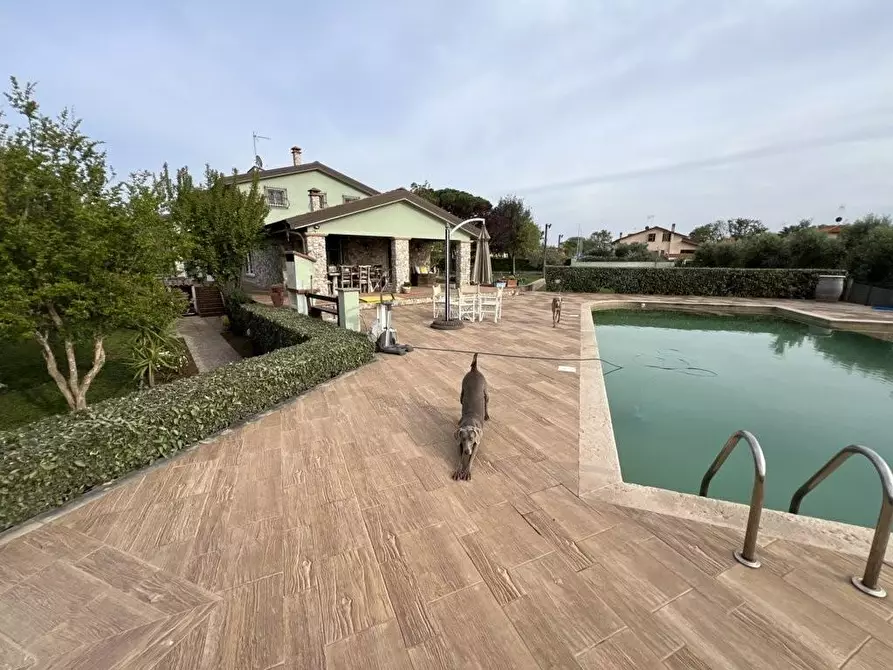 Immagine 2 di Villa in vendita  a San Vincenzo