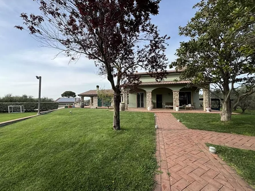 Immagine 8 di Villa in vendita  a San Vincenzo