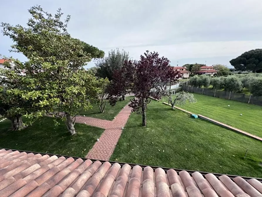 Immagine 3 di Villa in vendita  a San Vincenzo