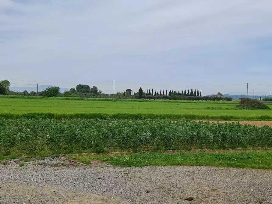 Immagine 1 di Terreno agricolo in vendita  a San Miniato