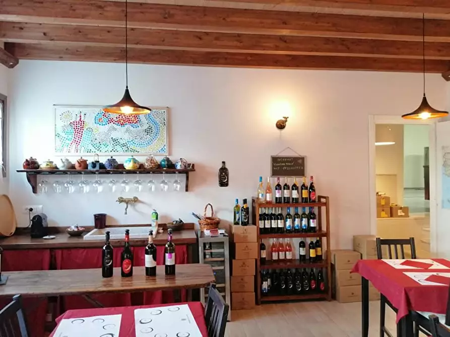 Immagine 6 di Terreno agricolo in vendita  a Scansano