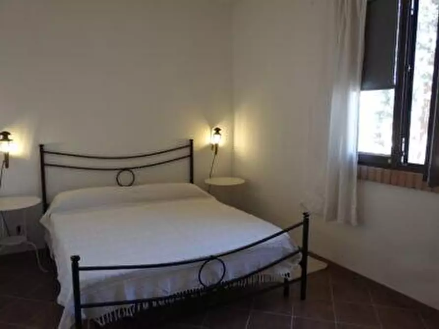 Immagine 16 di Terreno agricolo in vendita  a Scansano