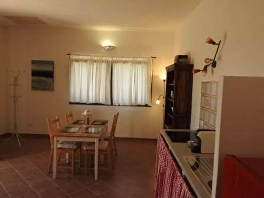 Immagine 14 di Terreno agricolo in vendita  a Scansano