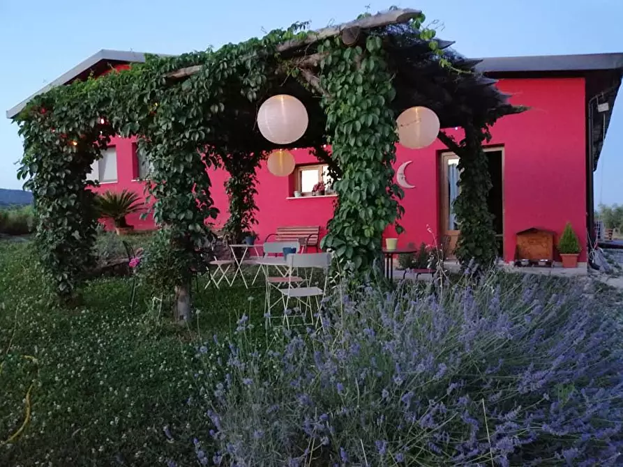 Immagine 11 di Terreno agricolo in vendita  a Scansano