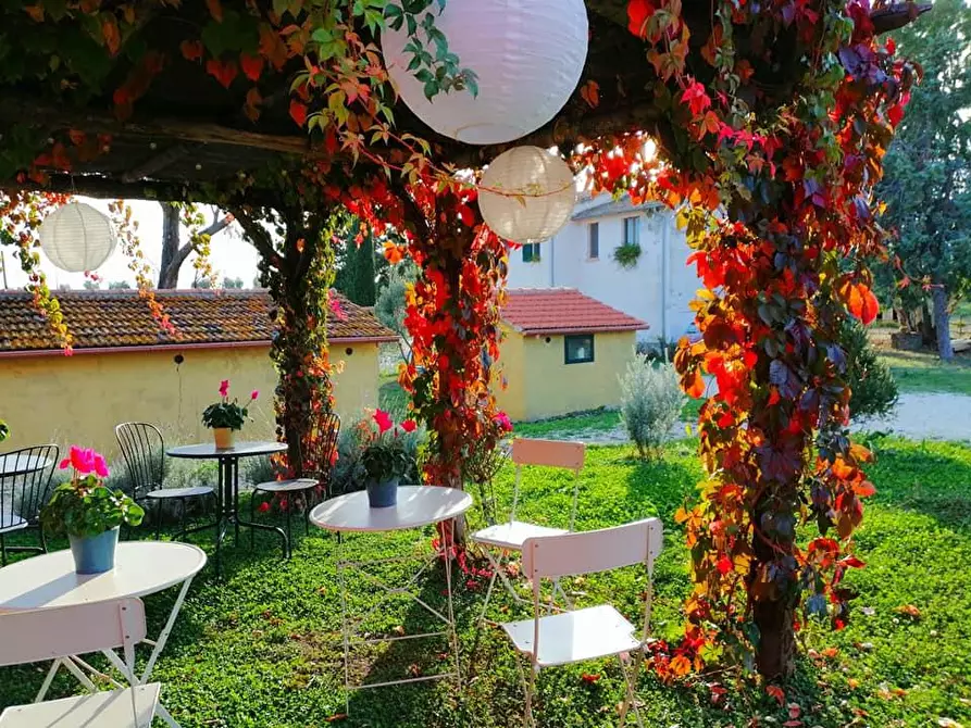 Immagine 12 di Terreno agricolo in vendita  a Scansano