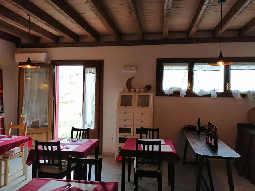 Immagine 5 di Terreno agricolo in vendita  a Scansano