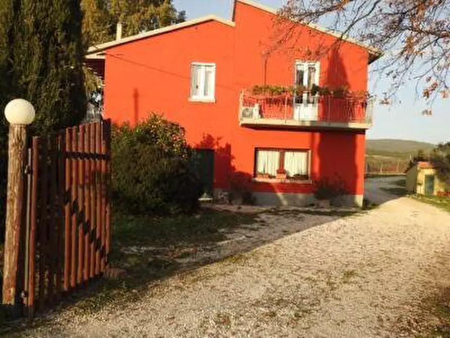 Immagine 8 di Terreno agricolo in vendita  a Scansano