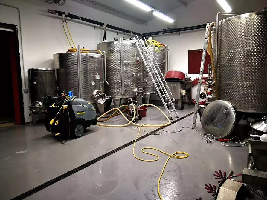 Immagine 4 di Terreno agricolo in vendita  a Scansano