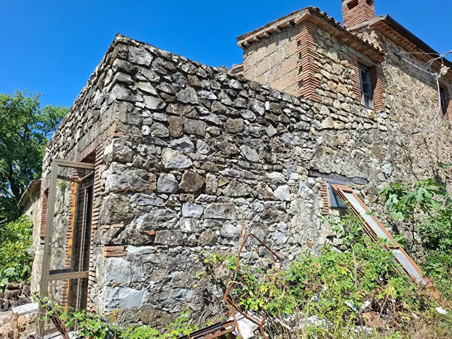Immagine 9 di Rustico / casale in vendita  a Manciano