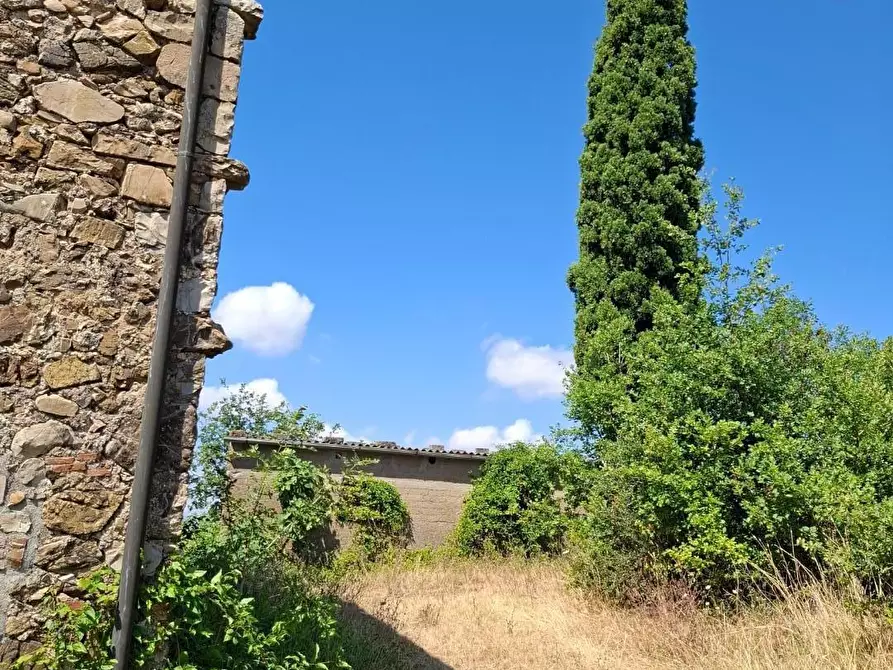 Immagine 8 di Rustico / casale in vendita  a Manciano