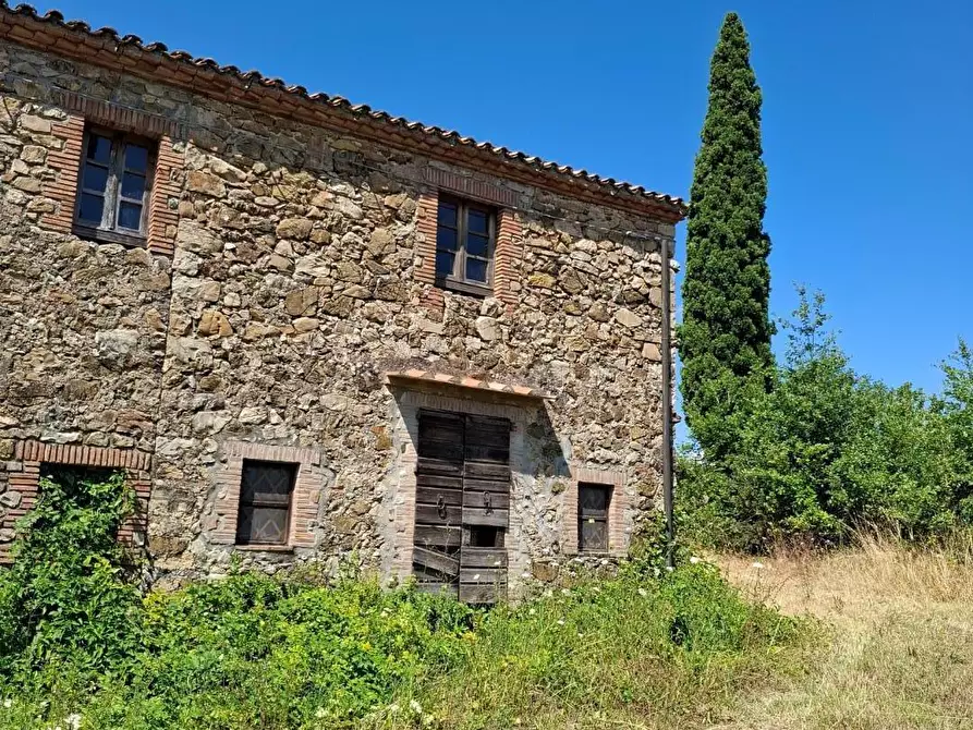 Immagine 1 di Rustico / casale in vendita  a Manciano