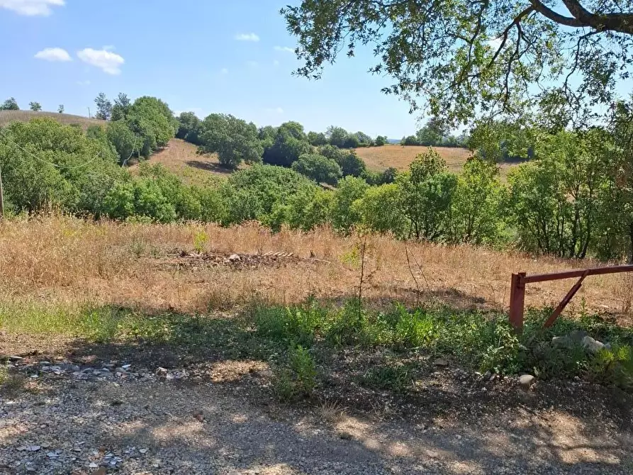 Immagine 13 di Rustico / casale in vendita  a Manciano