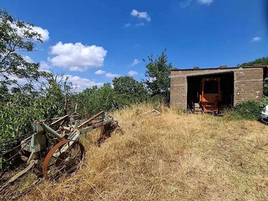 Immagine 15 di Rustico / casale in vendita  a Manciano