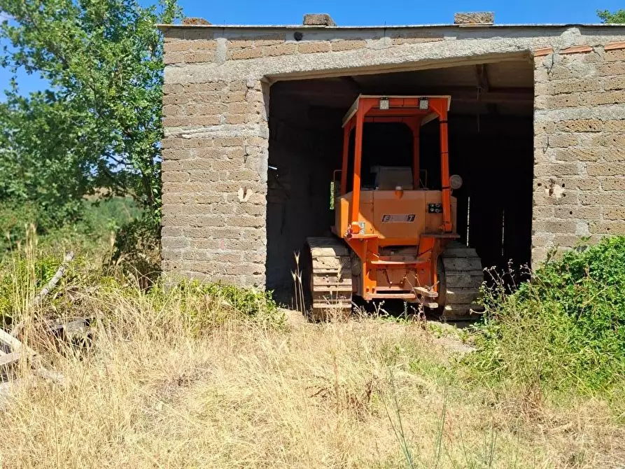 Immagine 14 di Rustico / casale in vendita  a Manciano