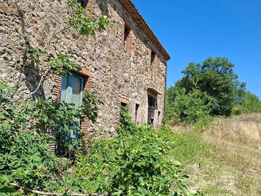 Immagine 7 di Rustico / casale in vendita  a Manciano