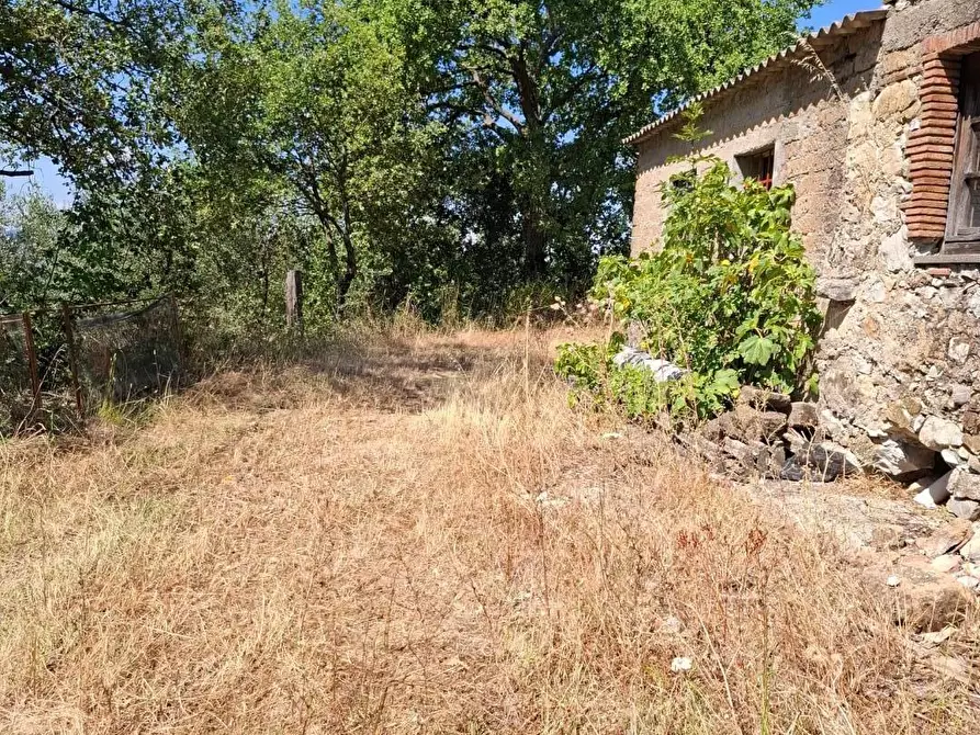 Immagine 6 di Rustico / casale in vendita  a Manciano