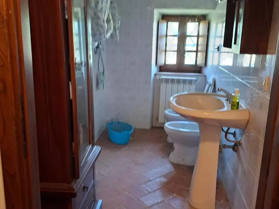 Immagine 23 di Rustico / casale in vendita  a Manciano