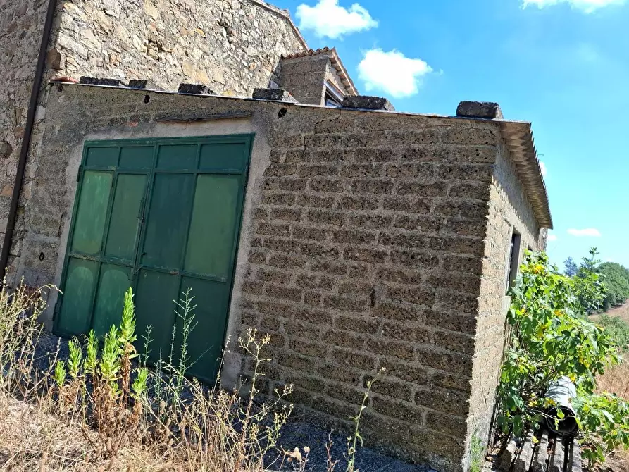 Immagine 4 di Rustico / casale in vendita  a Manciano