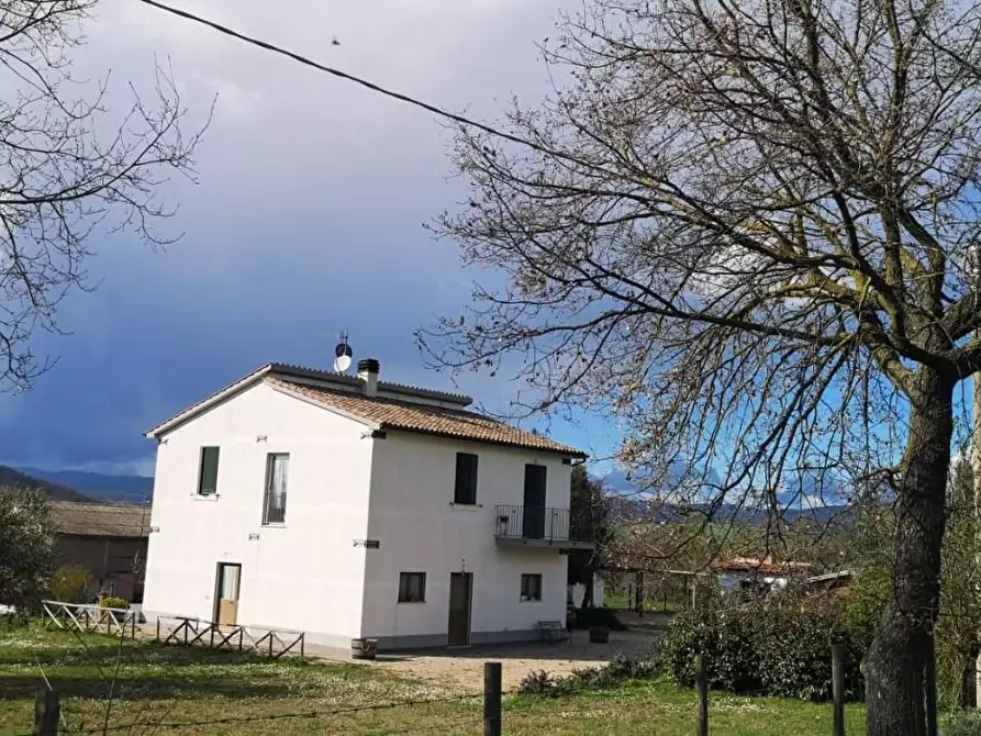 Immagine 1 di Casa colonica in vendita  a Manciano