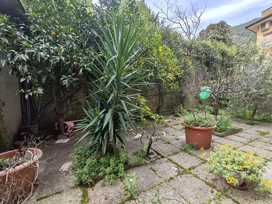 Immagine 4 di Appartamento in vendita  a Montignoso