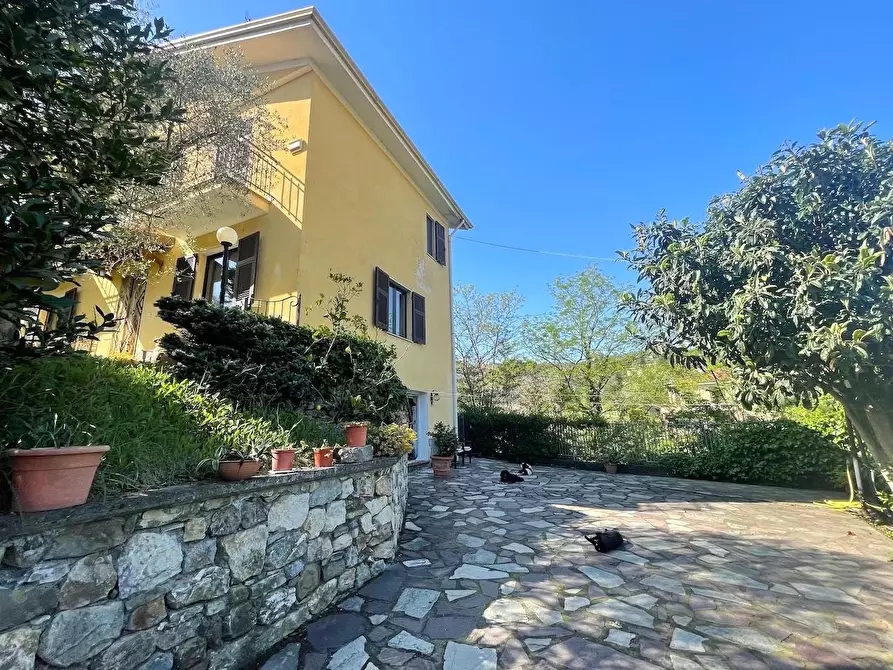 Immagine 5 di Villa in vendita  a Arcola