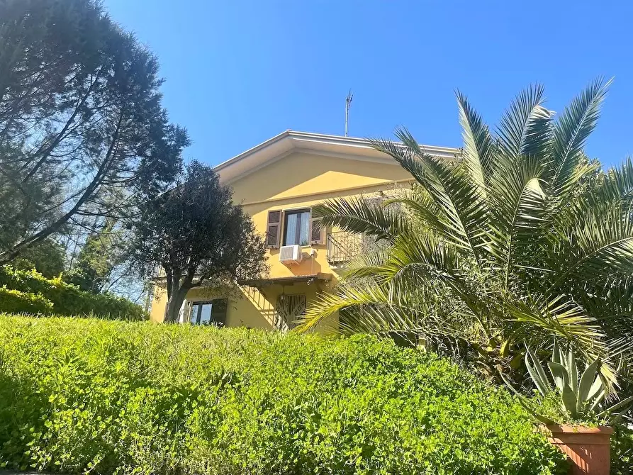 Immagine 6 di Villa in vendita  a Arcola