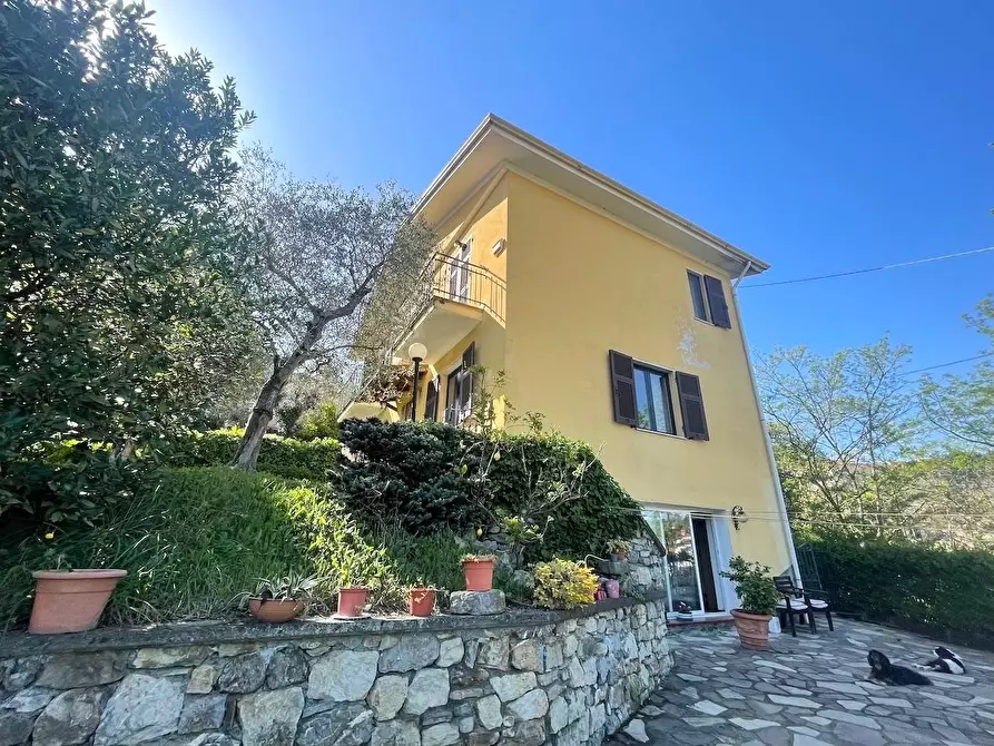 Immagine 4 di Villa in vendita  a Arcola