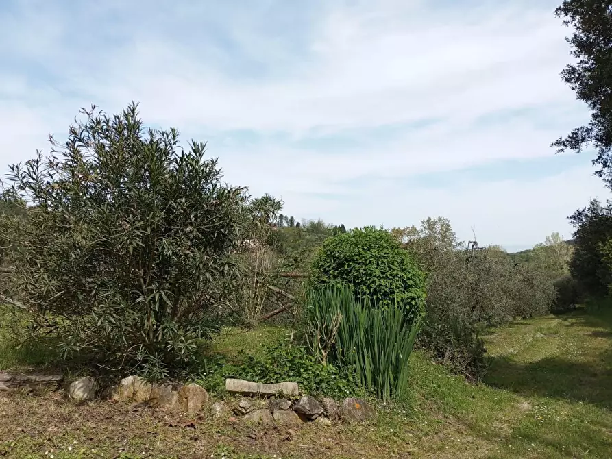 Immagine 37 di Casa indipendente in vendita  a Montopoli In Val D'arno