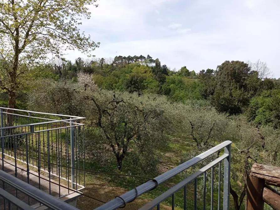 Immagine 29 di Casa indipendente in vendita  a Montopoli In Val D'arno