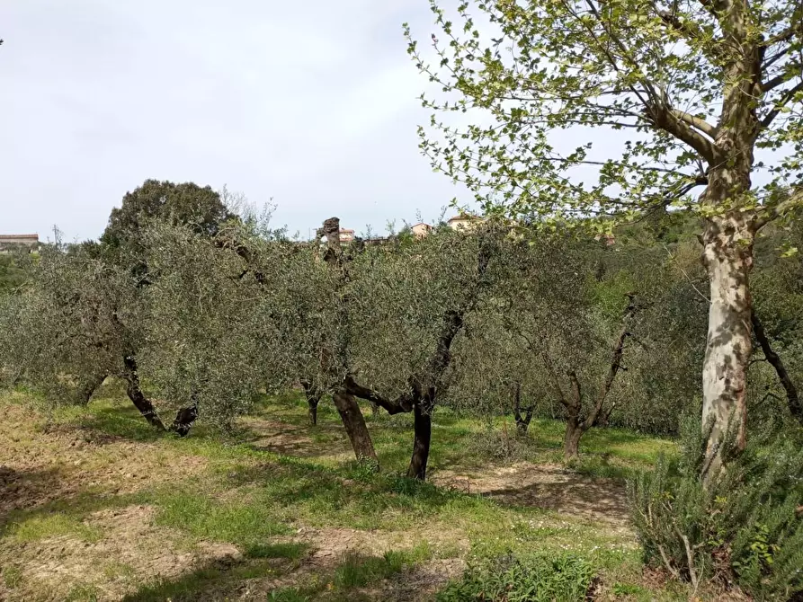 Immagine 28 di Casa indipendente in vendita  a Montopoli In Val D'arno