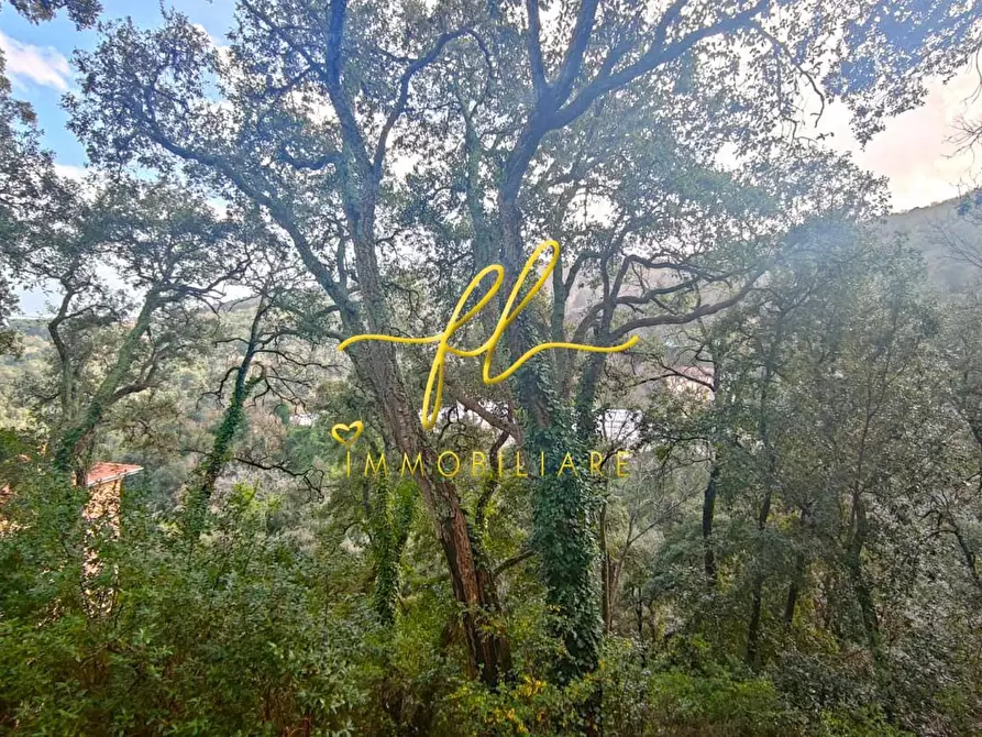 Immagine 13 di Appartamento in vendita  a Sassetta