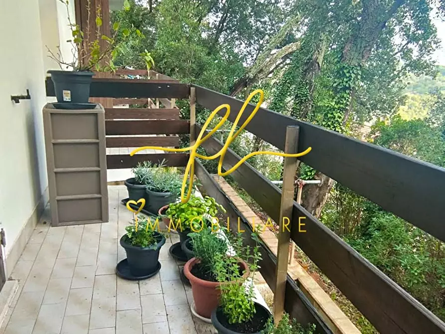 Immagine 10 di Appartamento in vendita  a Sassetta