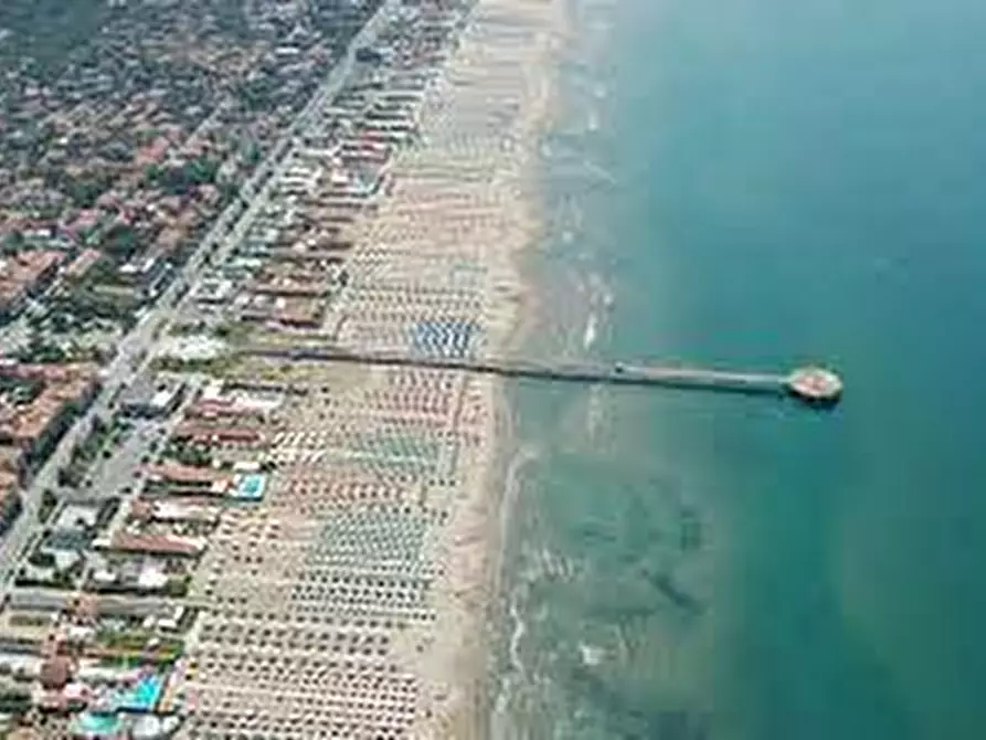 Immagine 9 di Attività commerciale in vendita  a Pietrasanta