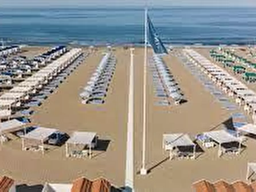 Immagine 8 di Attività commerciale in vendita  a Pietrasanta