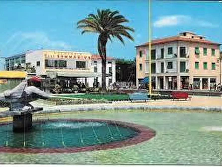 Immagine 3 di Attività commerciale in vendita  a Pietrasanta