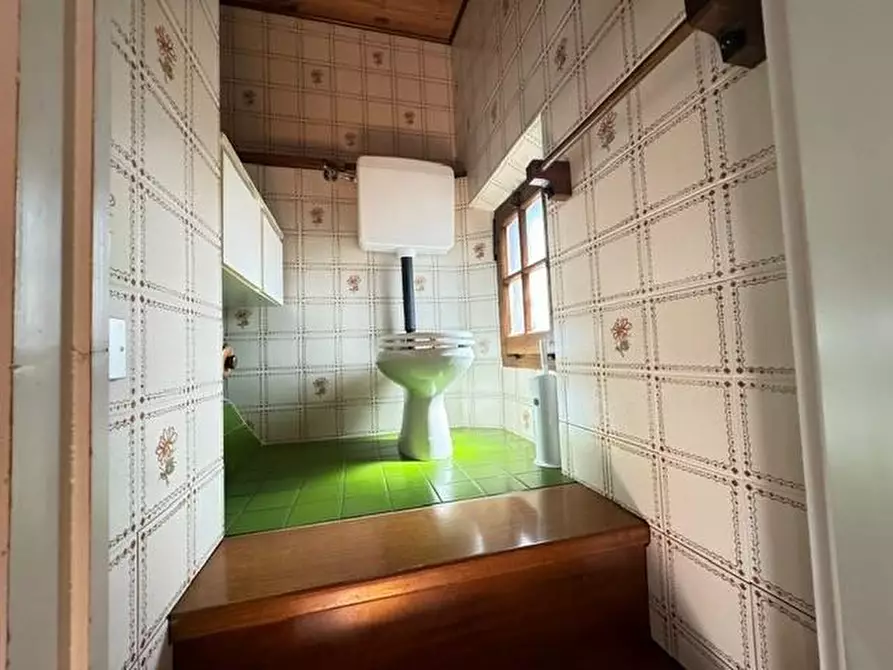 Immagine 17 di Villa in vendita  a Forte Dei Marmi