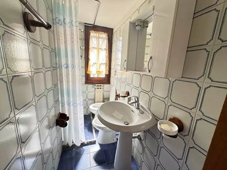 Immagine 9 di Villa in vendita  a Forte Dei Marmi