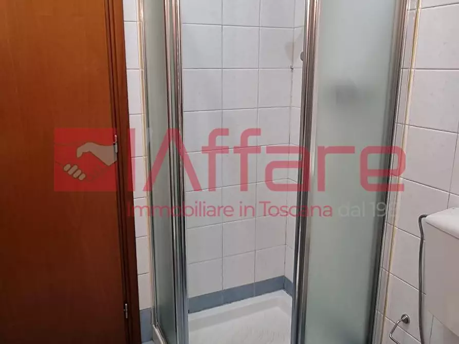 Immagine 28 di Appartamento in affitto  a Calcinaia