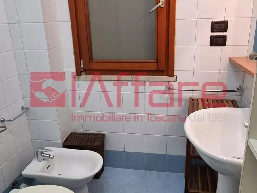 Immagine 29 di Appartamento in affitto  a Calcinaia