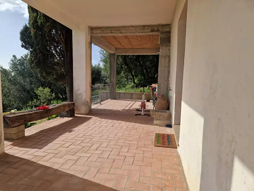 Immagine 5 di Villa in vendita  a Rosignano Marittimo