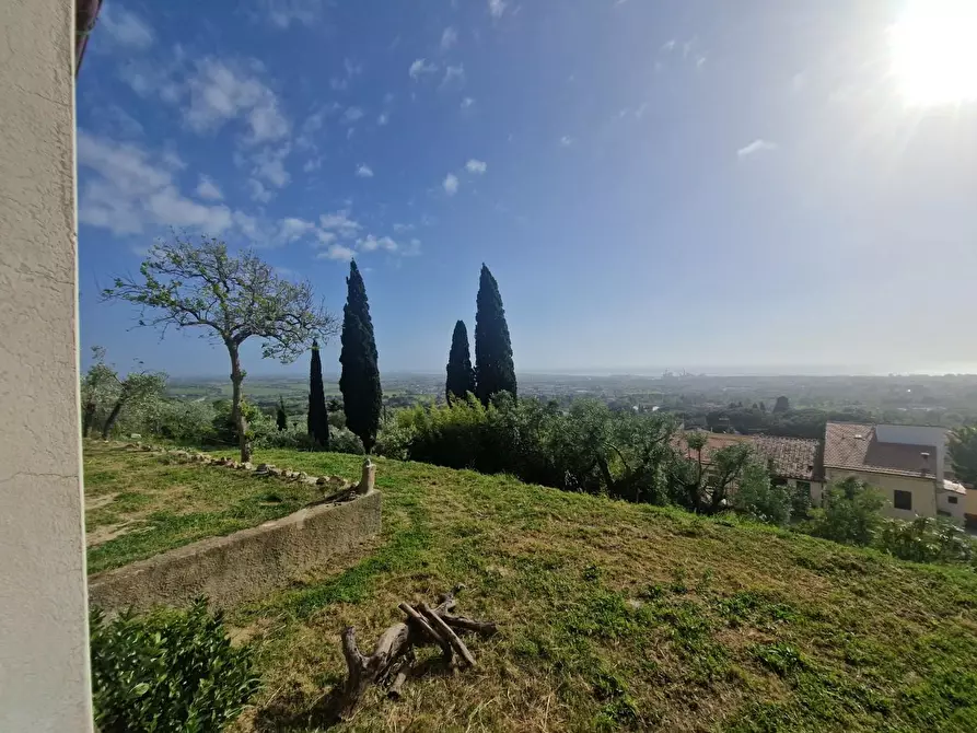 Immagine 4 di Villa in vendita  a Rosignano Marittimo