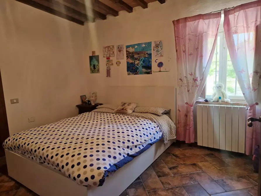 Immagine 13 di Villa in vendita  a Rosignano Marittimo