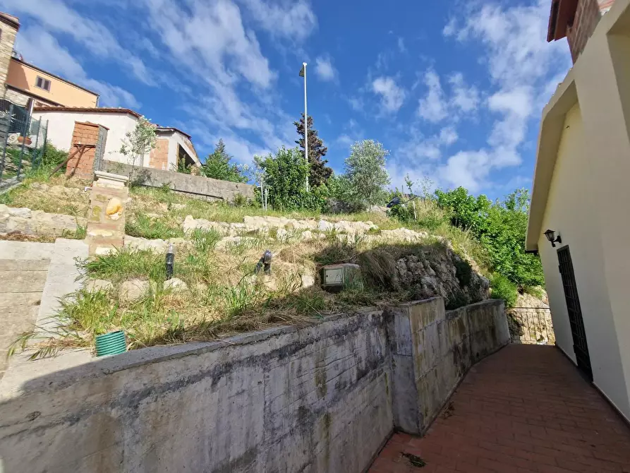 Immagine 17 di Villa in vendita  a Rosignano Marittimo