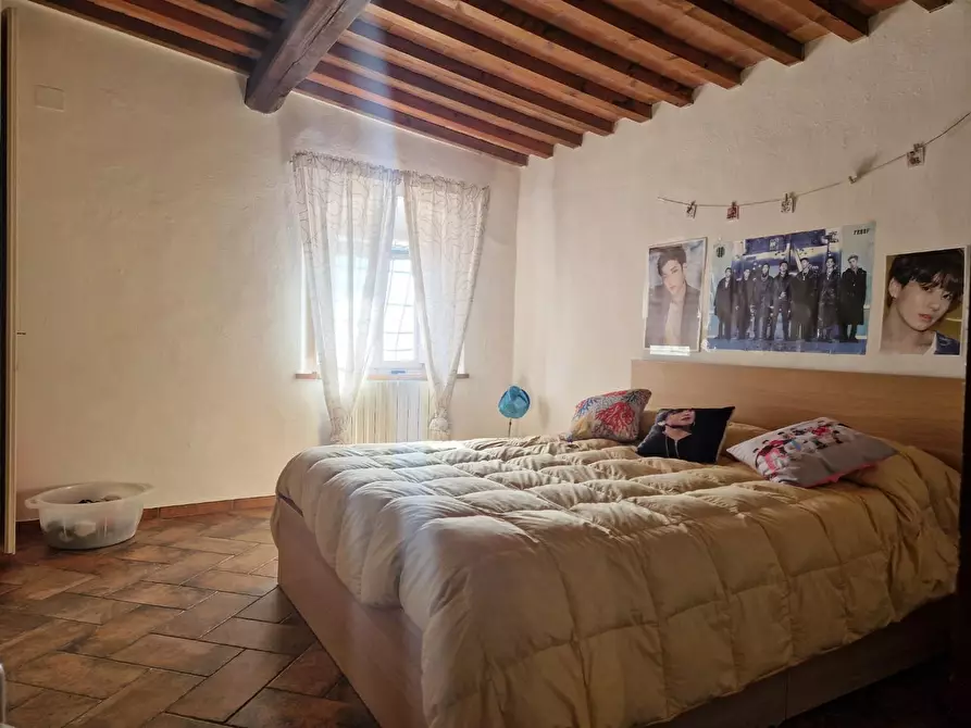 Immagine 12 di Villa in vendita  a Rosignano Marittimo