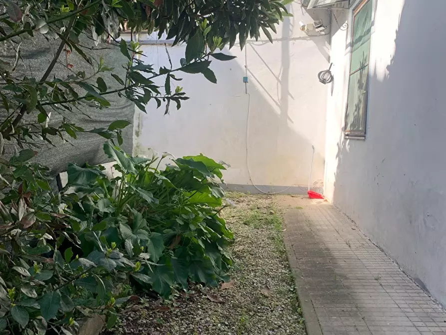 Immagine 11 di Appartamento in vendita  a Pisa