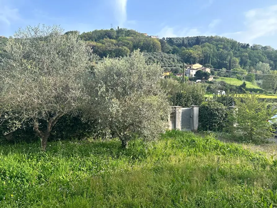 Immagine 43 di Villa in vendita  a Massarosa