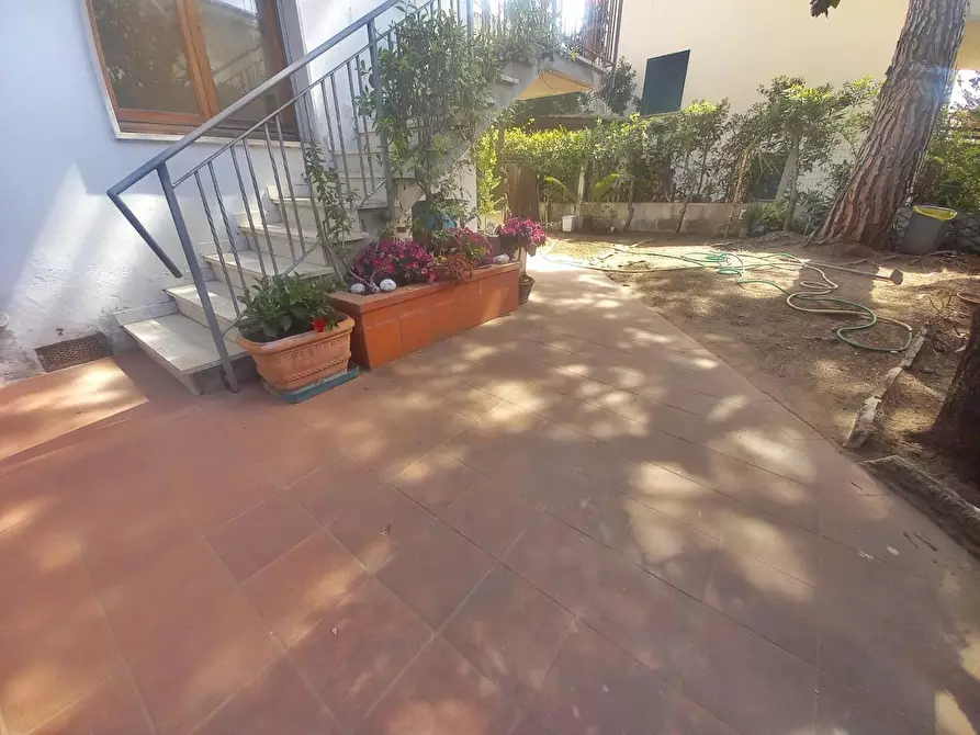 Immagine 35 di Appartamento in vendita  a Cecina